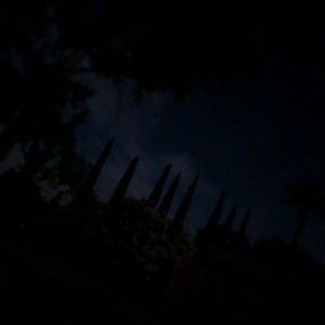 Meet your Posher, Logan